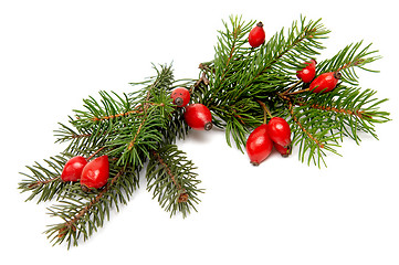 Image showing Red-green christmas arragement