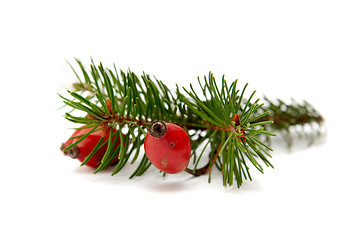 Image showing Red-green christmas arragement