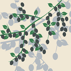 Image showing Olive brunch