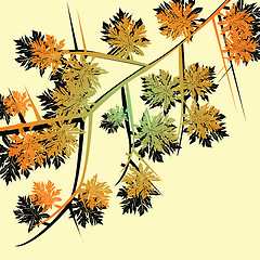 Image showing Autumn foliage