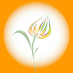 Image showing Tulip