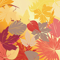 Image showing Autumn leaves