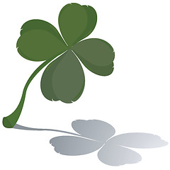 Image showing Fresh four leaf clover 