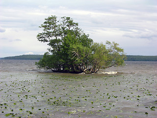 Image showing Islet