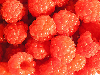 Image showing raspberries