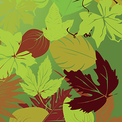 Image showing Leaves illustration