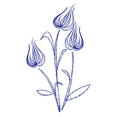 Image showing sketch with tulips