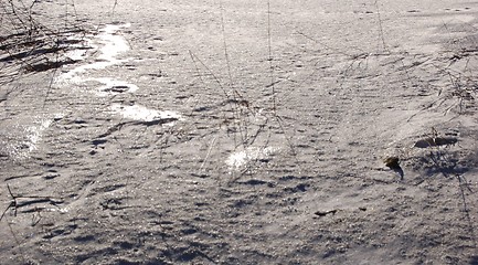 Image showing field of snow