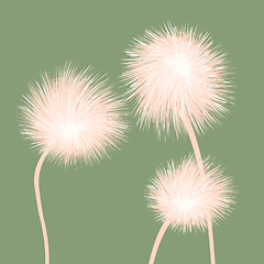 Image showing Stylized dandelions