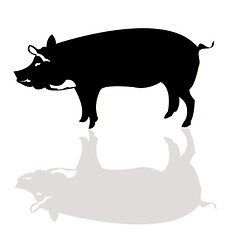 Image showing Pig silhouette