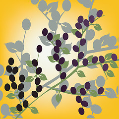 Image showing Olives