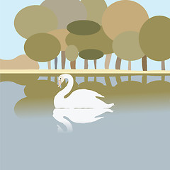 Image showing Swan on a lake