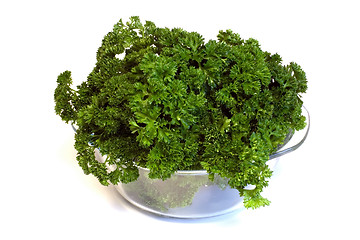 Image showing Bunch of parsley