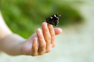 Image showing Butterfly on hand