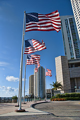 Image showing Miami, Florida, on a Hot and Sunny Spring Morning