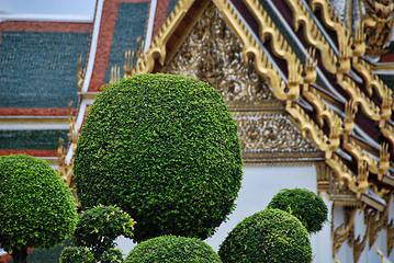 Image showing Bangkok, Thailand