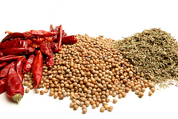 Image showing herbs and spices