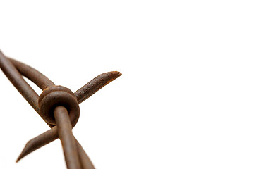 Image showing barbed wire macro over white