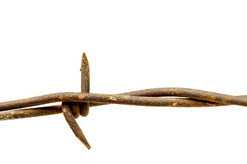 Image showing barbed wire macro