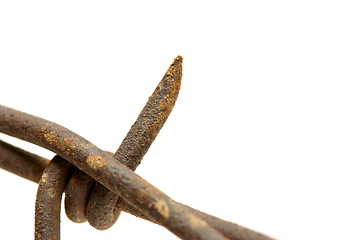 Image showing barbed wire macro over white