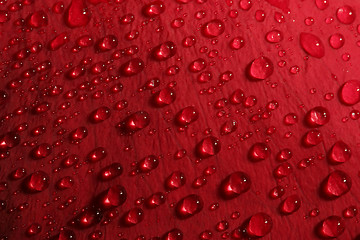 Image showing rose petal droplets