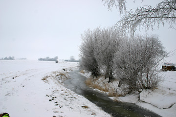 Image showing brook on winter