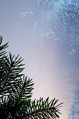 Image showing Frozen glass background