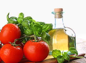 Image showing Tomatoes with fresh basil and olive oil