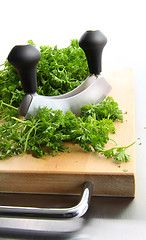 Image showing Freshly chopped parsley on wooden cutting