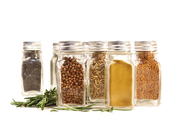 Image showing Spice jars with fresh rosmary leaves against white