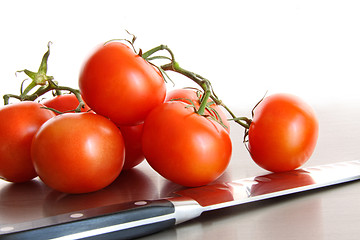 Image showing Fresh ripe tomatoes on stainless steel counter