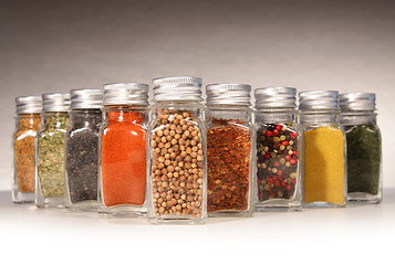 Image showing Bottles of colorful spices with grey 