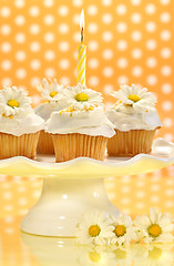 Image showing Cupcakes decorated with icing and little daisies