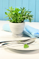 Image showing Fresh green herbs on a table