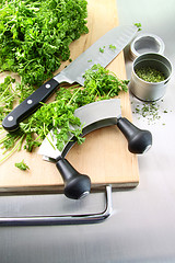 Image showing Fresh chopped parsley with cutting board