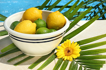 Image showing Lemons and limes in a bowl