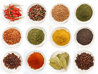 Image showing Variety of different spices iin bowls 