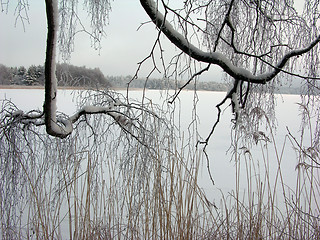 Image showing Lake in winter 3