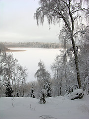 Image showing Lake in winter 2
