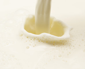 Image showing milk splash