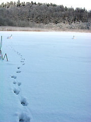 Image showing Lake in winter 4