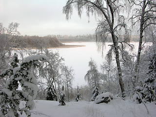 Image showing Lake in winter