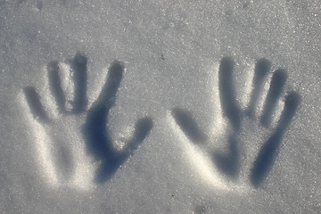 Image showing hands in snow