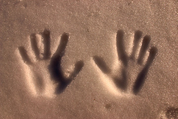 Image showing hands in snow