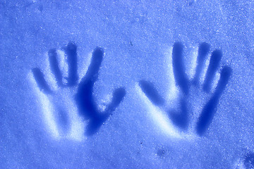 Image showing hands in snow