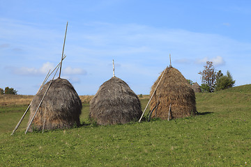 Image showing Hayricks in a mountainous area