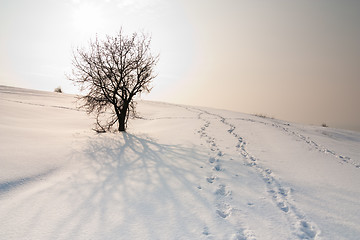 Image showing hill covered with snow