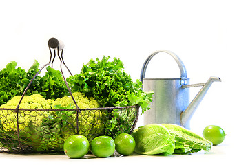 Image showing Vegetables and limes