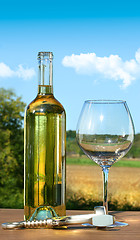 Image showing Empty glass with a bottle of white wine 