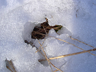 Image showing winter